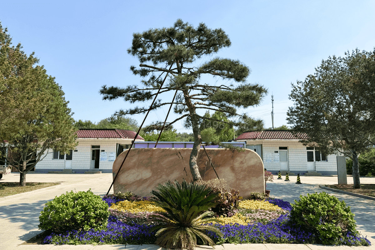 太子峪公墓环境图