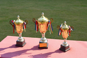 太子峪公墓环境荣誉资质